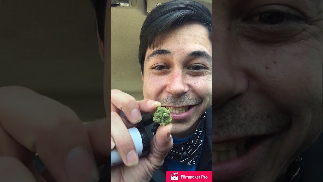 Candyland Weed Strain Review