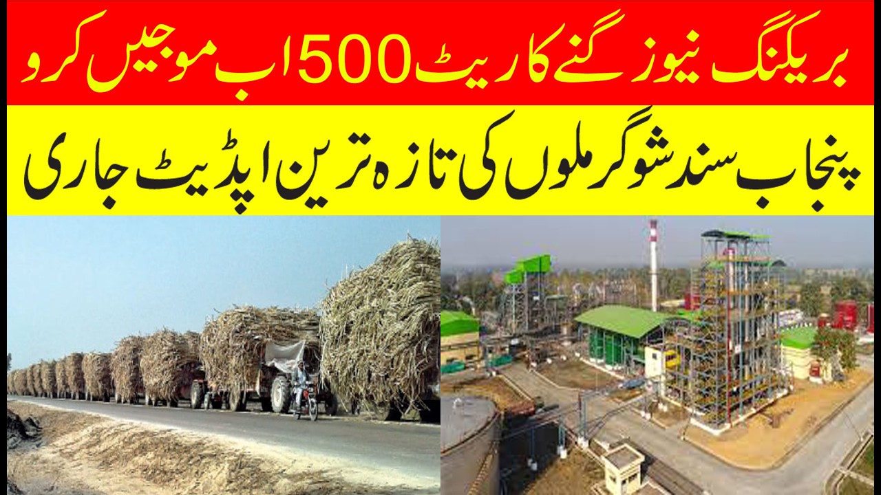 Good news Sugarcane new Rate Rs.500 2026 | گنے کا ریٹ 500 ہو گیا موجیں ہی موجیں