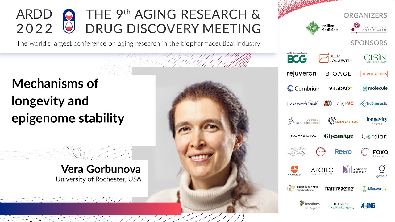 Vera Gorbunova at ARDD2022: Mechanisms of longevity and epigenome stability