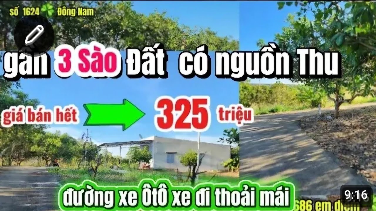 Giá rẻ nhất KHU VỰC🌈 Đất Sào + sẵn Cây TRỒNG💥 giá 325 triệu  có tl ạ🎋bán hết ko phát sinh chi phí🧧