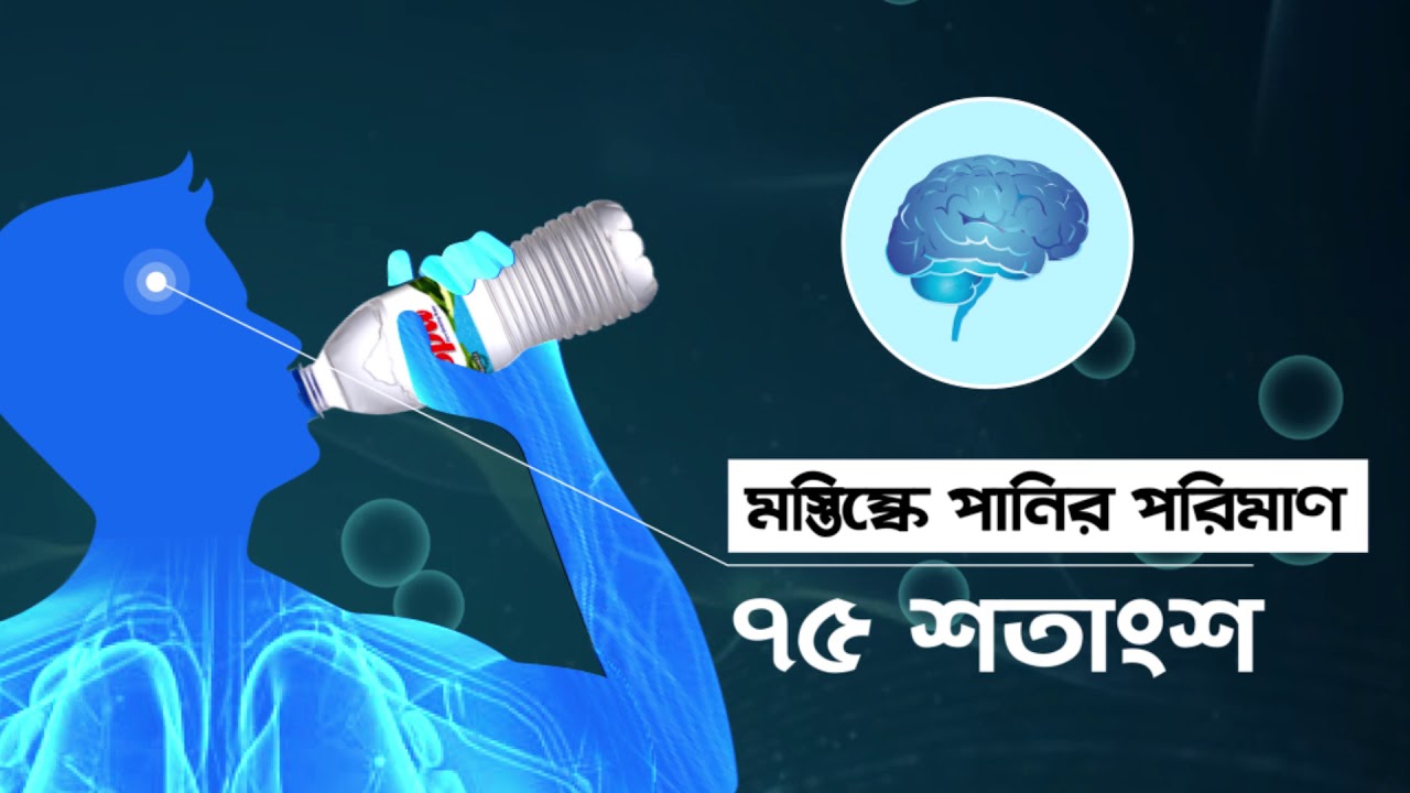 স্পা হেলথ টিপস্ - মানবদেহ এবং পানি