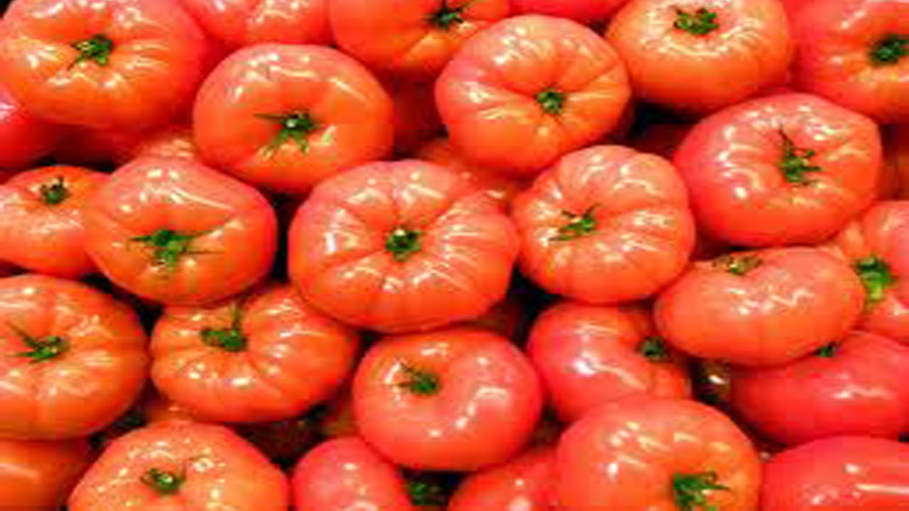Kurnool Tomato farmers in distress