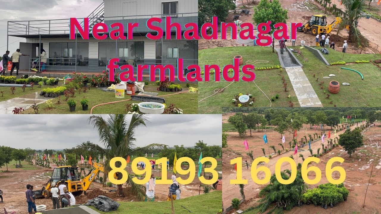 Shadnagar farmland forsale|farmland for sale in shadnagar#property |agricultural land  in shadnagar|