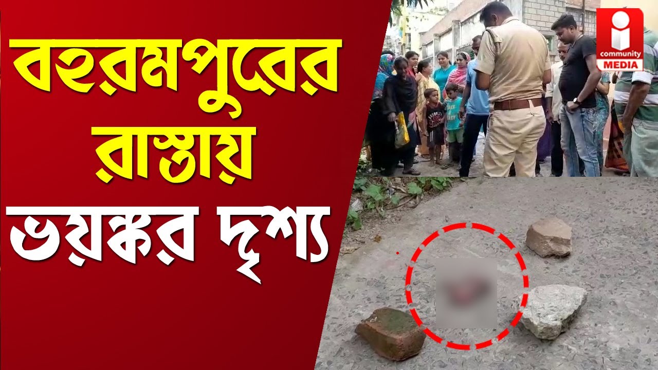 Berhampore News: বহরমপুরের রাস্তায় ভয়ঙ্কর দৃশ্য