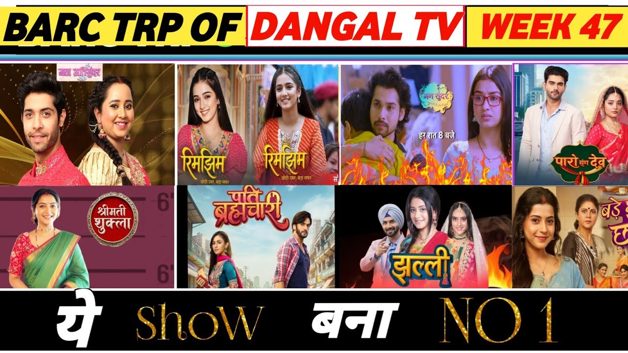 Dangal TV Barc Trp of Week 47 (2025) : Pati Brahmachari,Mann Sundar, Jhalli, Rimzhim
