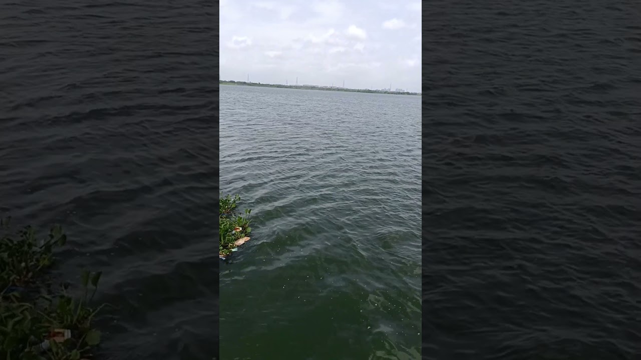 Sangareddy river