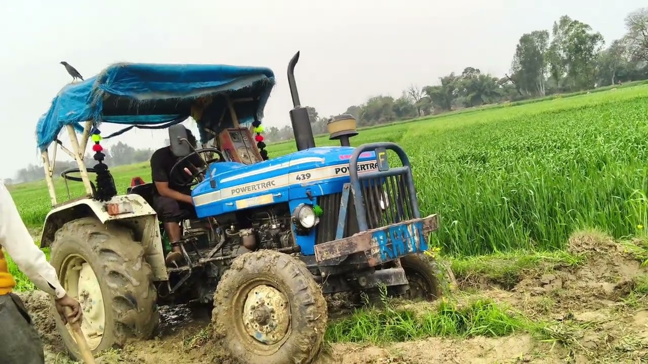 Raghvendra bhai ka tractor fas gaya aur jassey bhai ki Rani se nikala #sad #rani 
