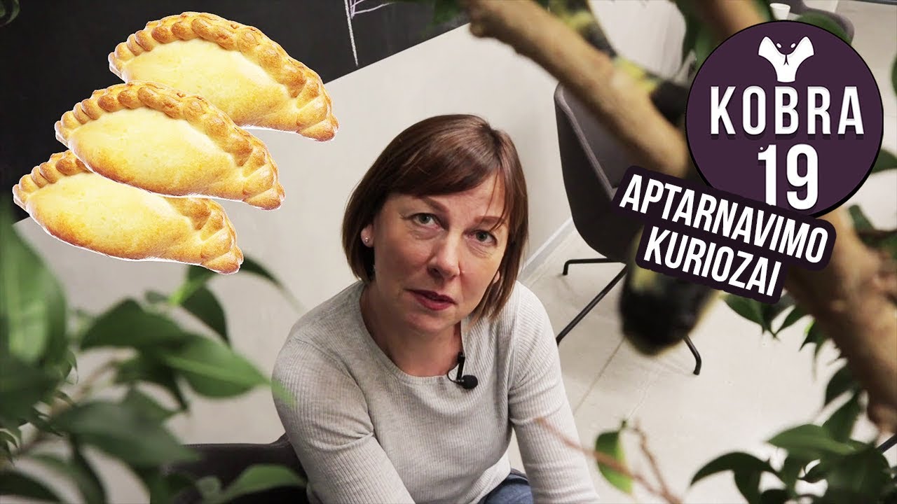 Aptarnavimo kuriozai || KOBRA 19 - Rita Miliūtė || Laisvės TV vlogai