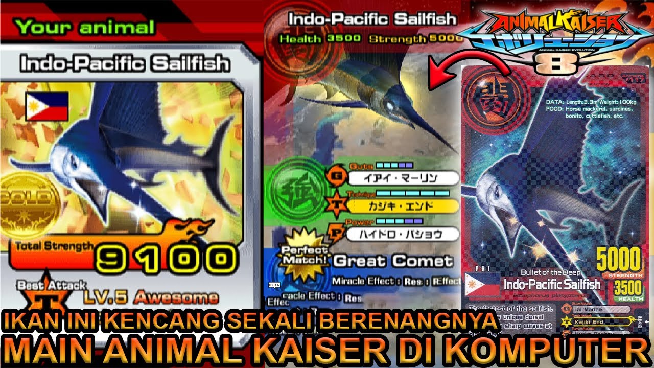 IKAN INI ADA PEDANG INDO-PACIFIC SAILFISH ANIMAL KAISER DI KOMPUTER !!! - ANIMAL KAISER EVOLUTION PC