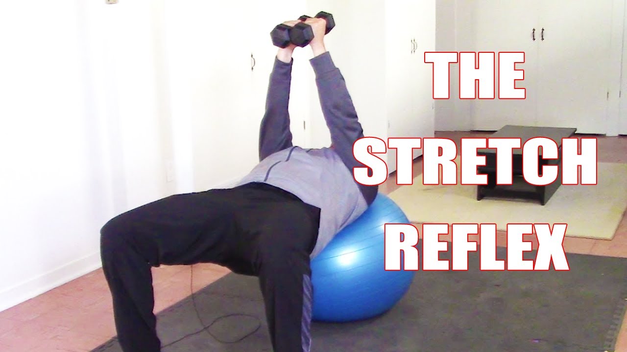 Using the Stretch Reflex