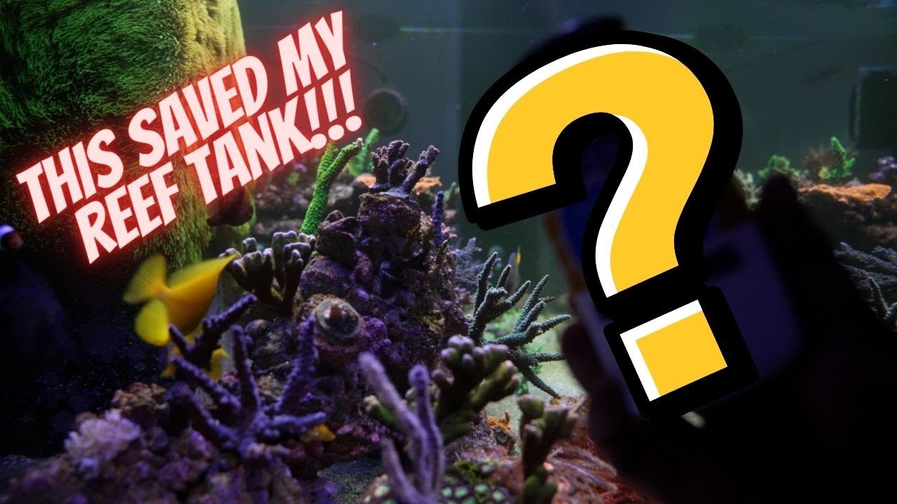 Did this save my reef tank?