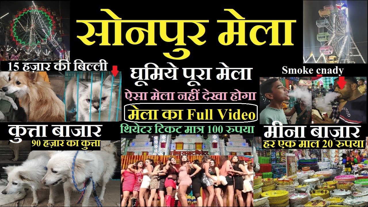 Sonpur mela 2022 full video | dog market | meena bazar | theater video | घूमिये पूरा मेला |