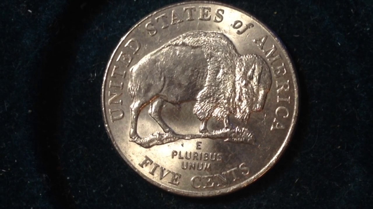 2005 P Buffalo Nickel (Mintage 448 Million, Known Error Coins)