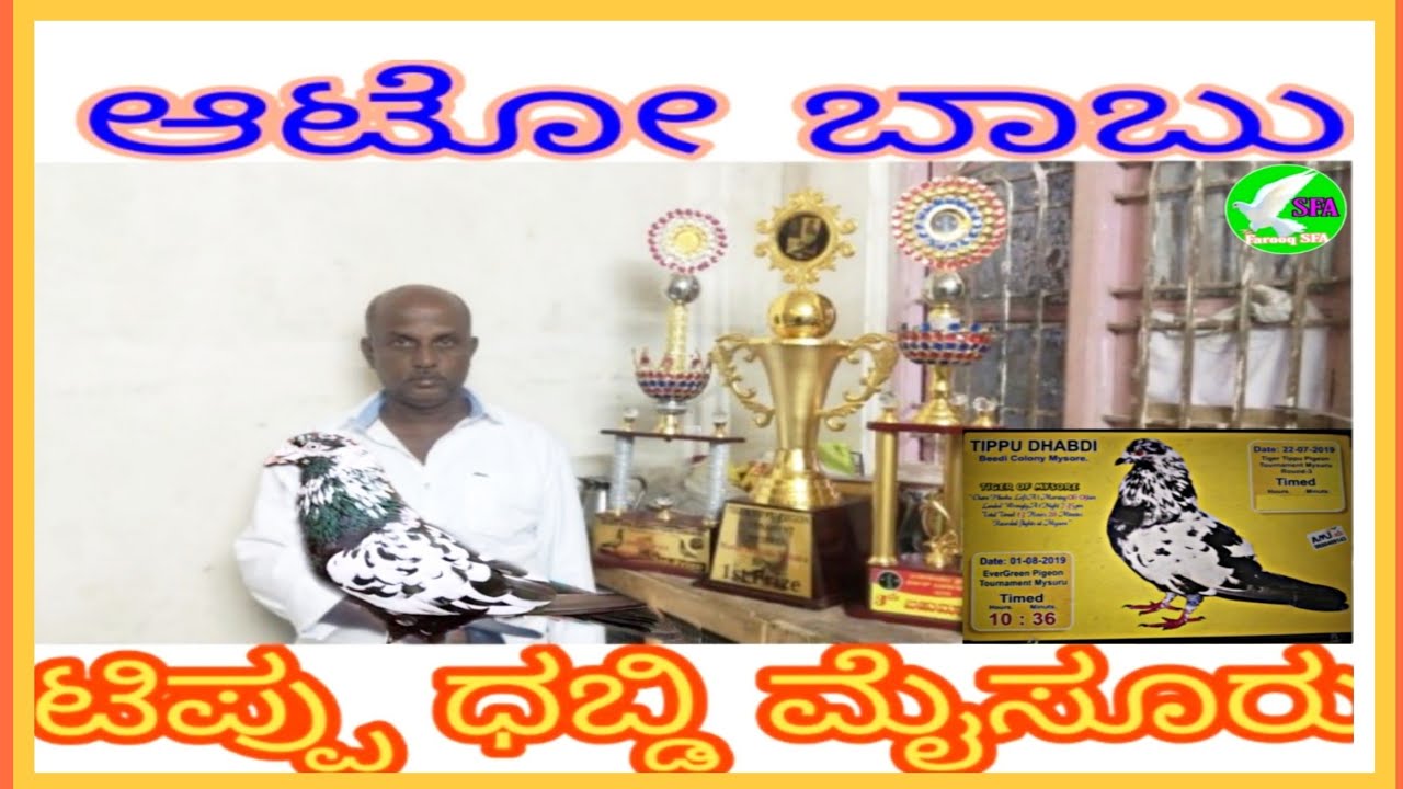 Farooq SFA,pigeon,Auto Babu Group,Tipu Dhabdi Akki Kabotar Loft,Part-1Kannada Mysuru Bangalore.