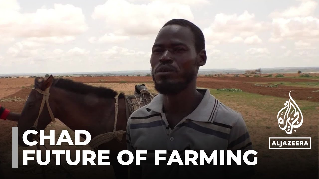 Chad food insecurity: Climate change threatens future of farming