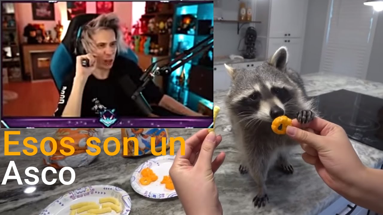 RUBIUS REACCIONANDO A UN POCO DE TODO