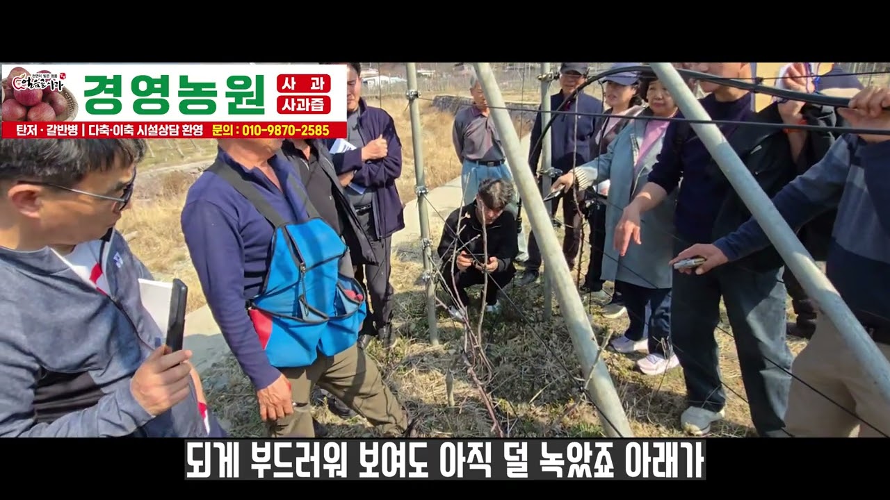 다축묘 수형을 어떻게 잡을까요?