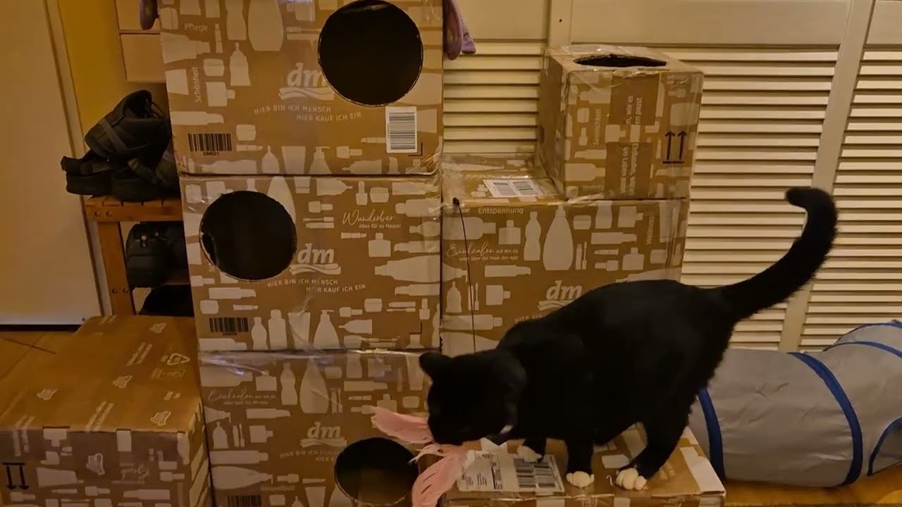 DIY für die Mädels | Abenteuerspielplatz Teil 1 | Schnurrpost 💕🐈‍⬛🐈🐈‍⬛🐈💕