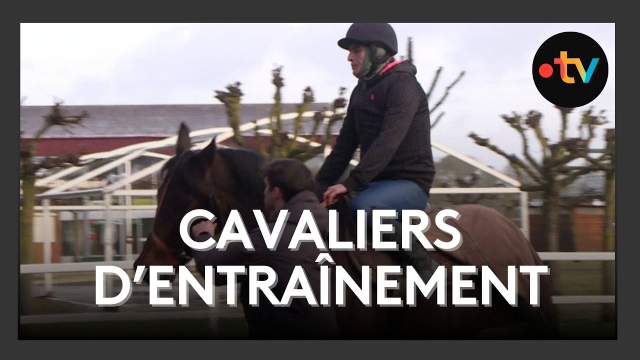 Formation de cavaliers d&rsquo;entra&icirc;nement &agrave; Royan