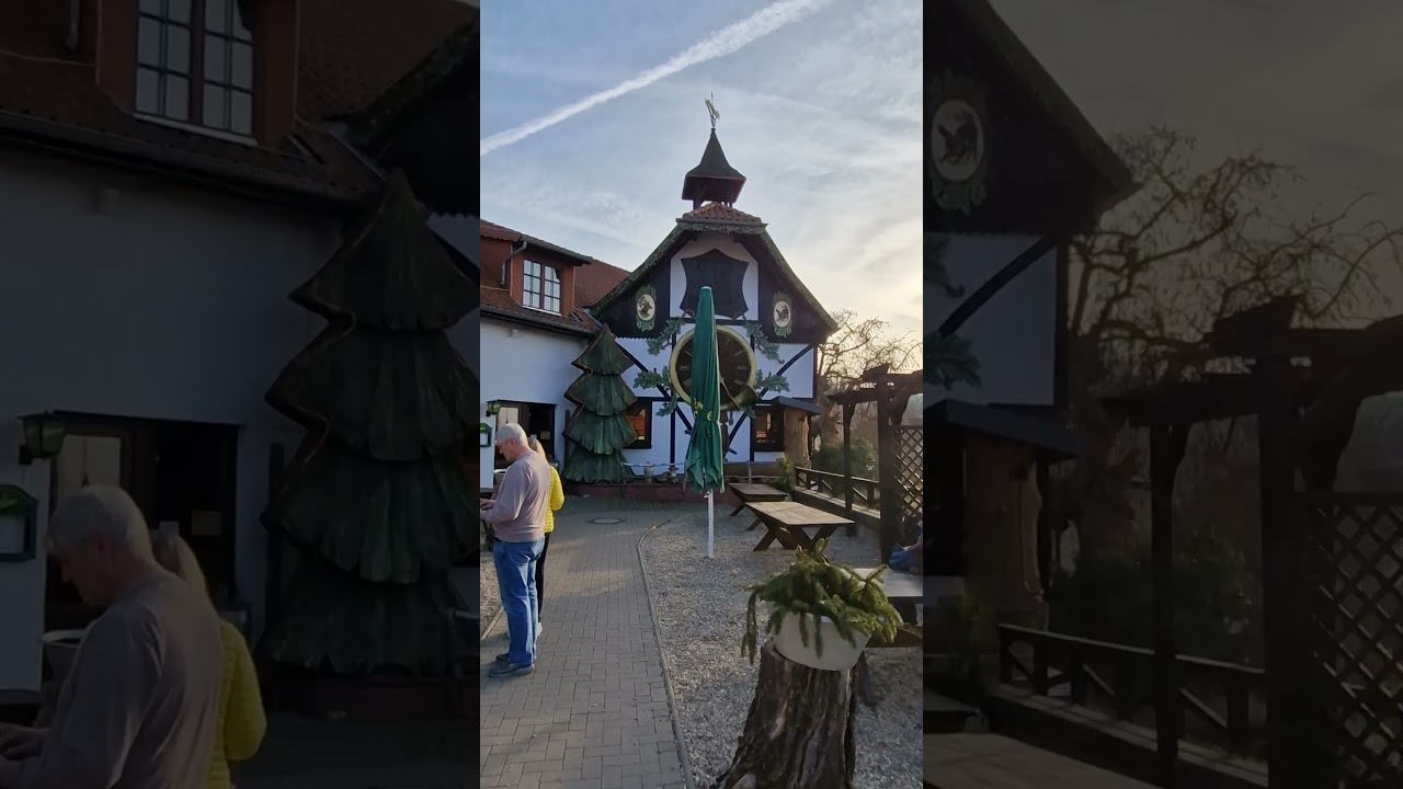DIE GR&Ouml;&szlig;TE KUCKUCKSUHR DER WELT (naja beinahe) IM HARZ