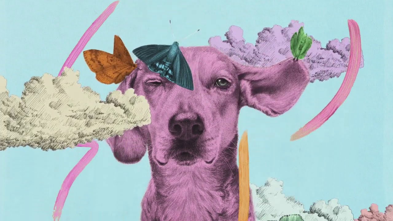 Matt Maeson - Giants (from At home with the kids) [Lyric Video]