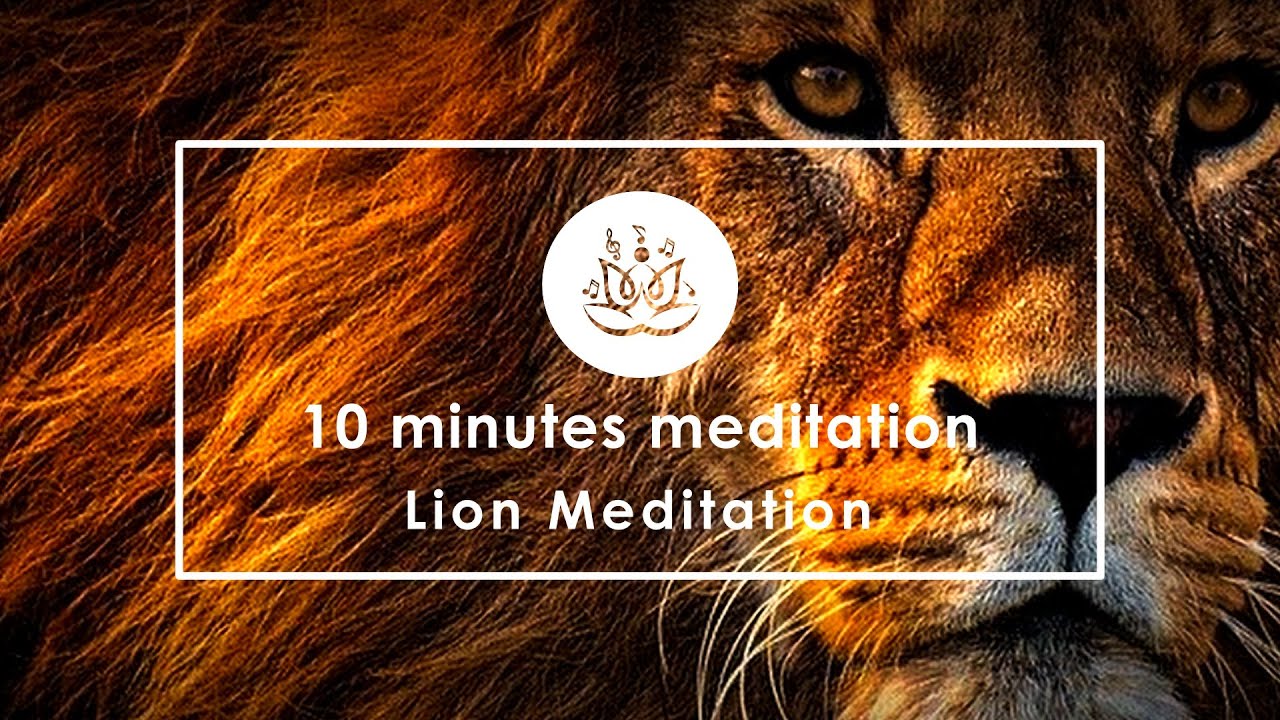 10 min meditation | Lion power | spirit of Lion, 528 hz frequency, lion mind | MeditationPeaceMusic