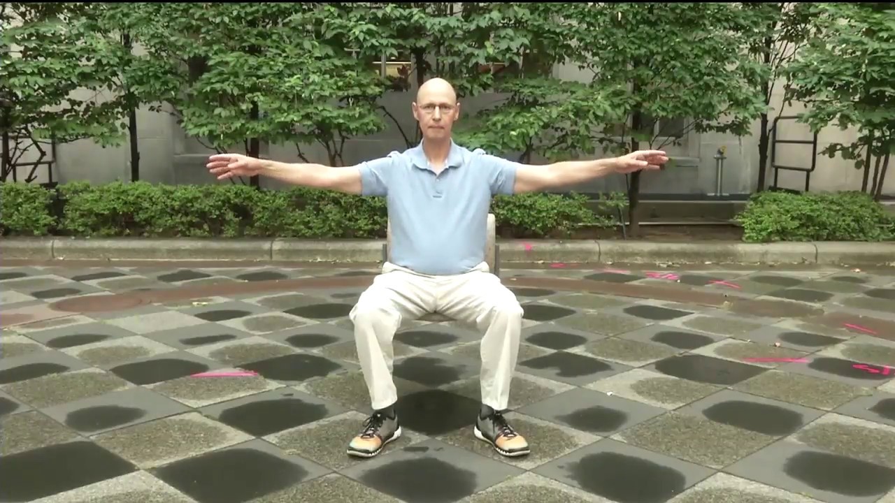 Tai Chi and Qigong Wellness Exercises (Standing and Sitting)