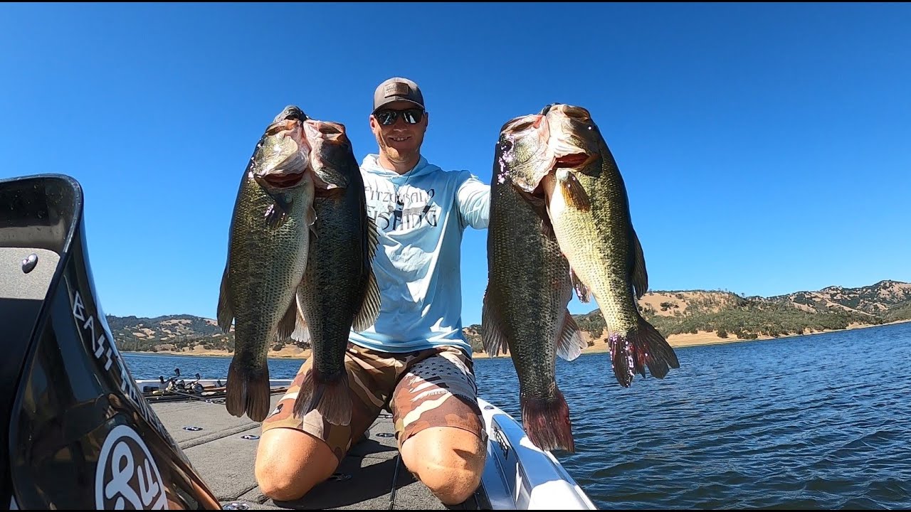 This Is What happens! When the Shad Spawn!