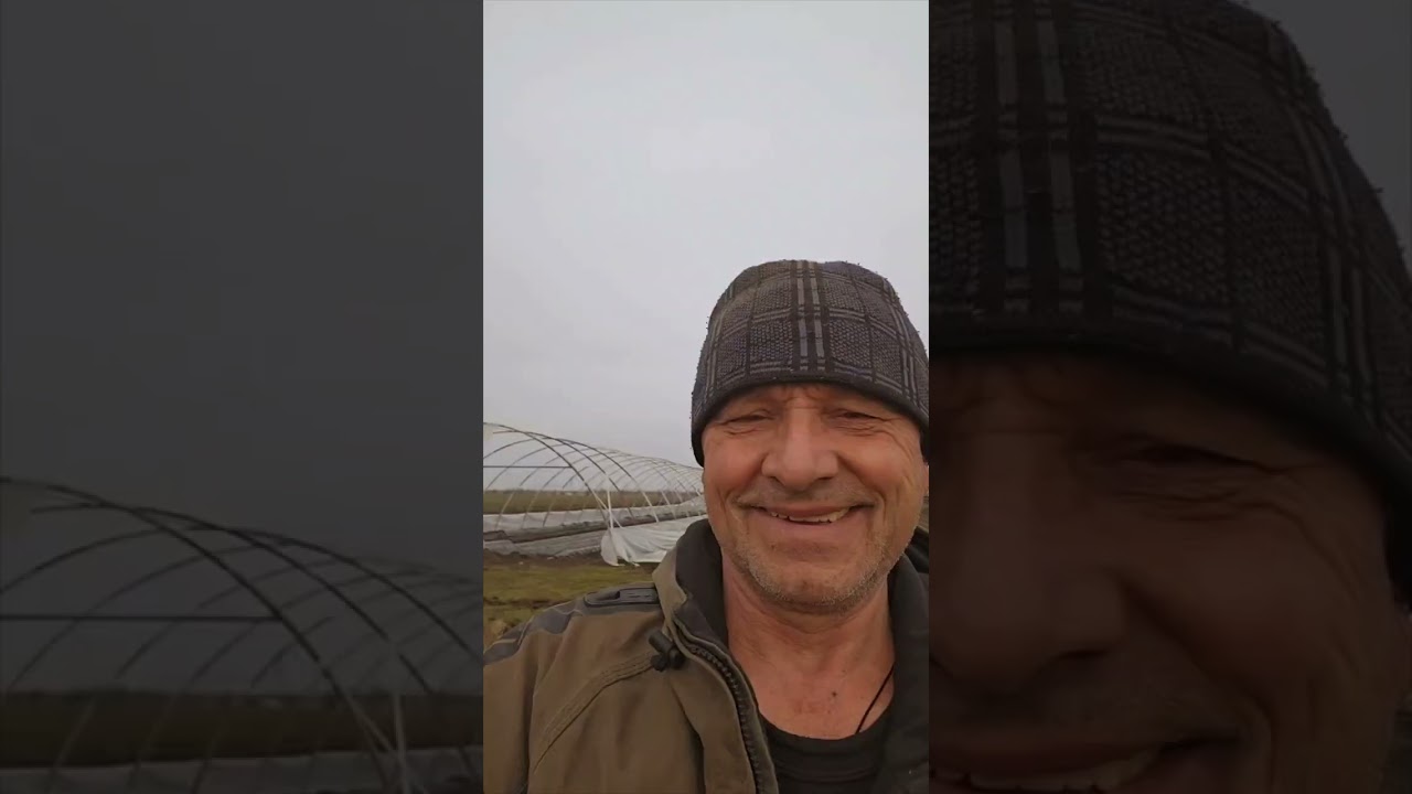 Простая конструкция ворот на клубничных балаганах.