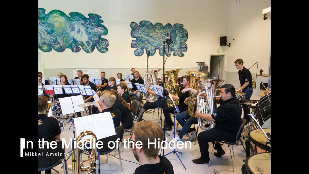 In the Middle of the Hidden - Mikkel Amsinck