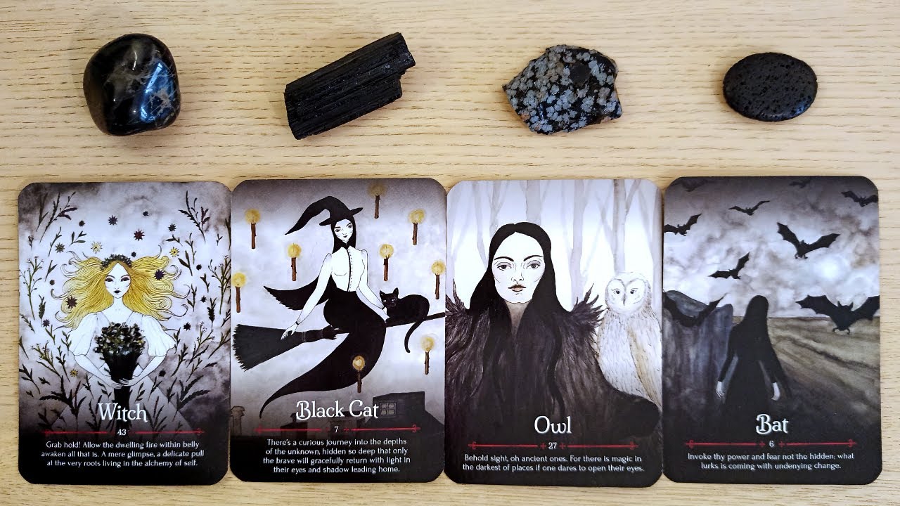 🪄🔮WHAT NEW BEGINNINGS are happening IN YOUR LIFE RIGHT NOW?🪄🔮  PICK A CARD Timeless Love Tarot