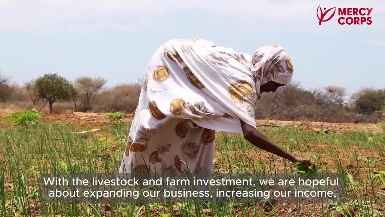 Strengthening Rangeland Regeneration in Kenya's Wajir County