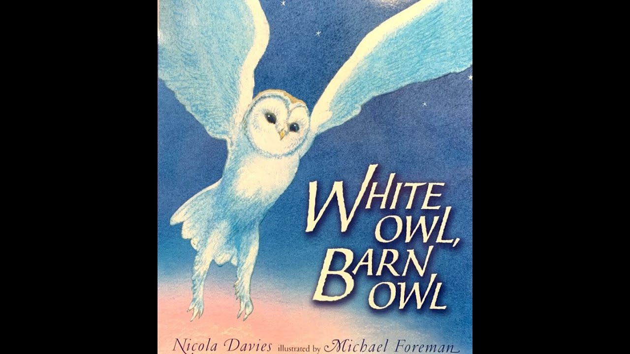White Owl, Barn Owl by: Nicola Davies Read Aloud