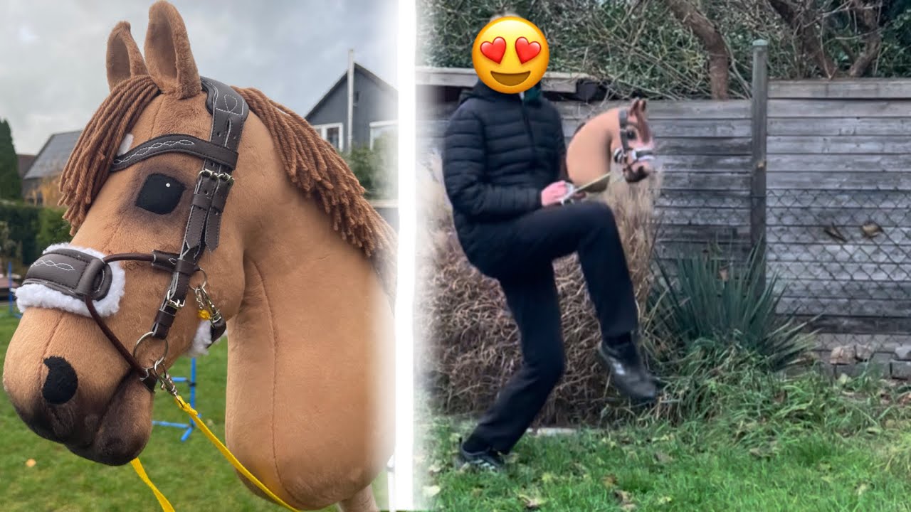 Erstes Training mit meinem neuen HobbyHorse Abby