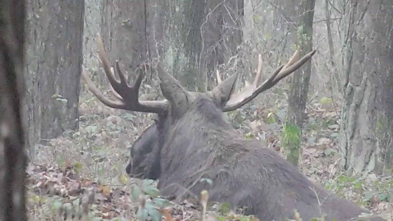 LubelskieOkoLasu  Lubelska Alaska vol2