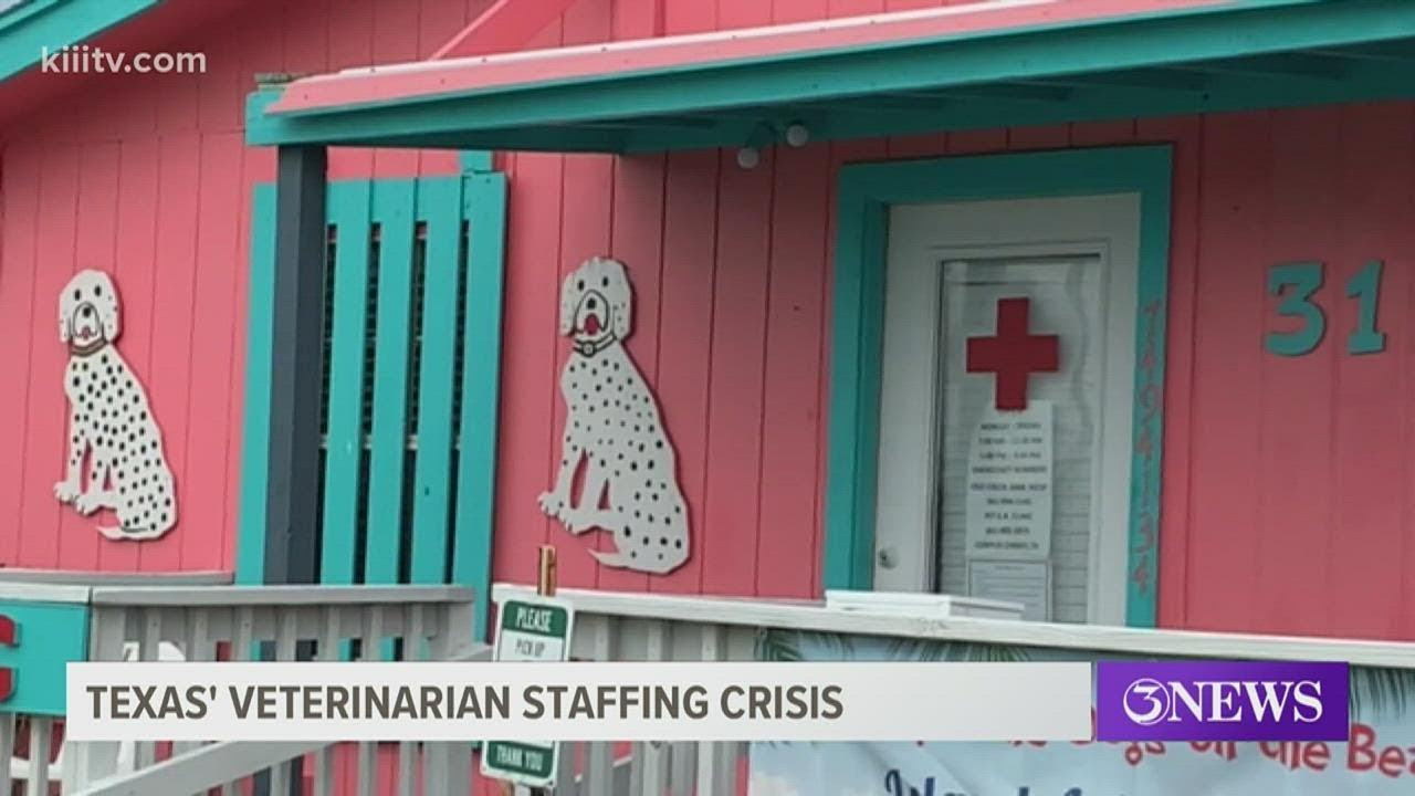 Why are veterinarians leaving? Coastal Bend doctors weigh in on employee shortage