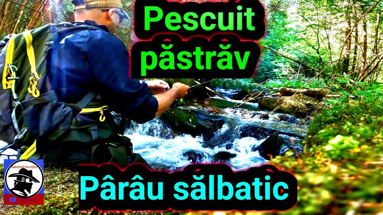 Pescuit păstrăv, pârâu sălbatic! Trout fishing, Munții Apuseni!