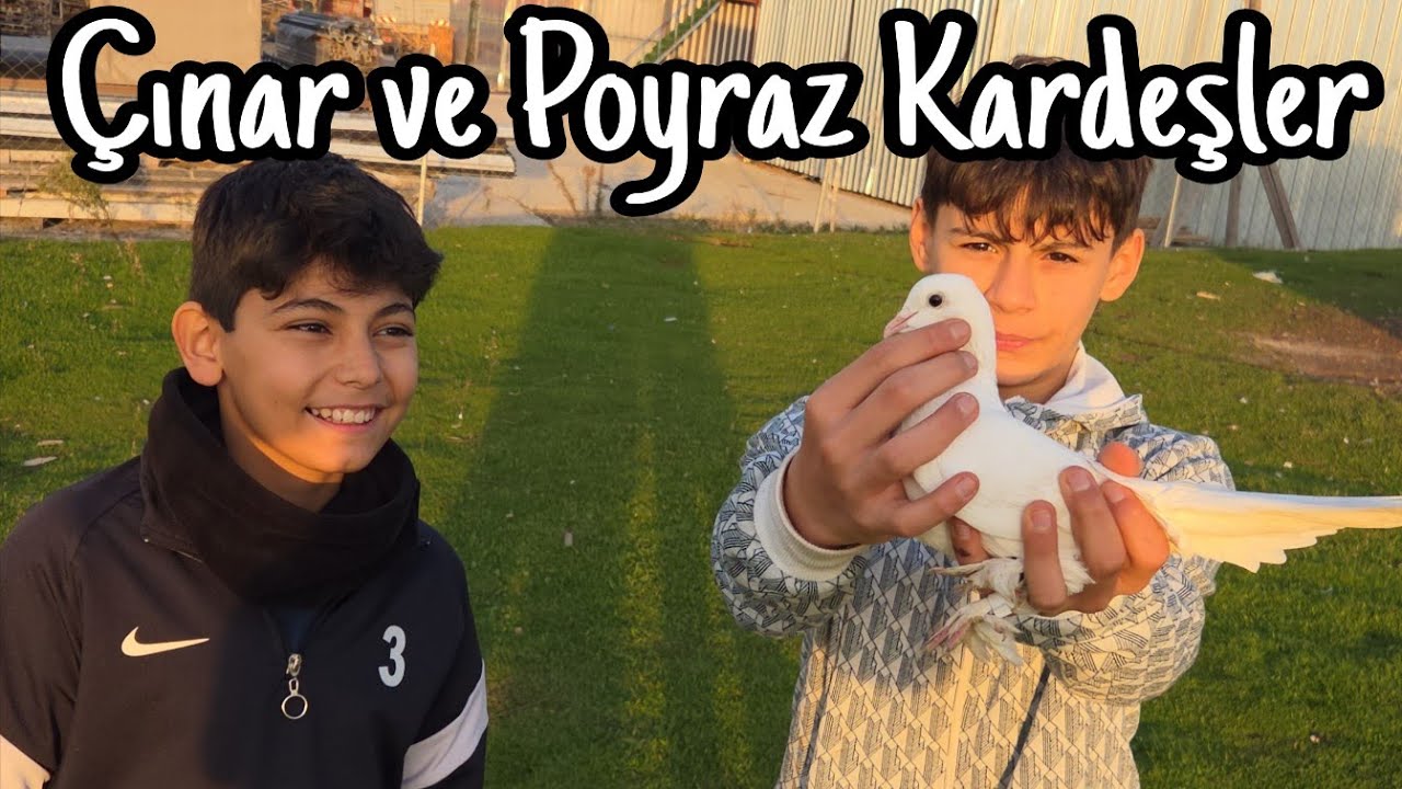 &Ccedil;ınar ve Poyraz Kardeşlerin Oyun Kuşları. &Ccedil;ayırova
