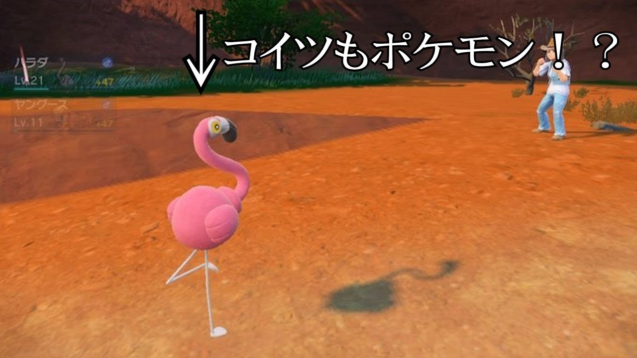 【流行りにライドオン！！】ポケモンSV(ポケットモンスターヴァイオレット)　実況プレイ