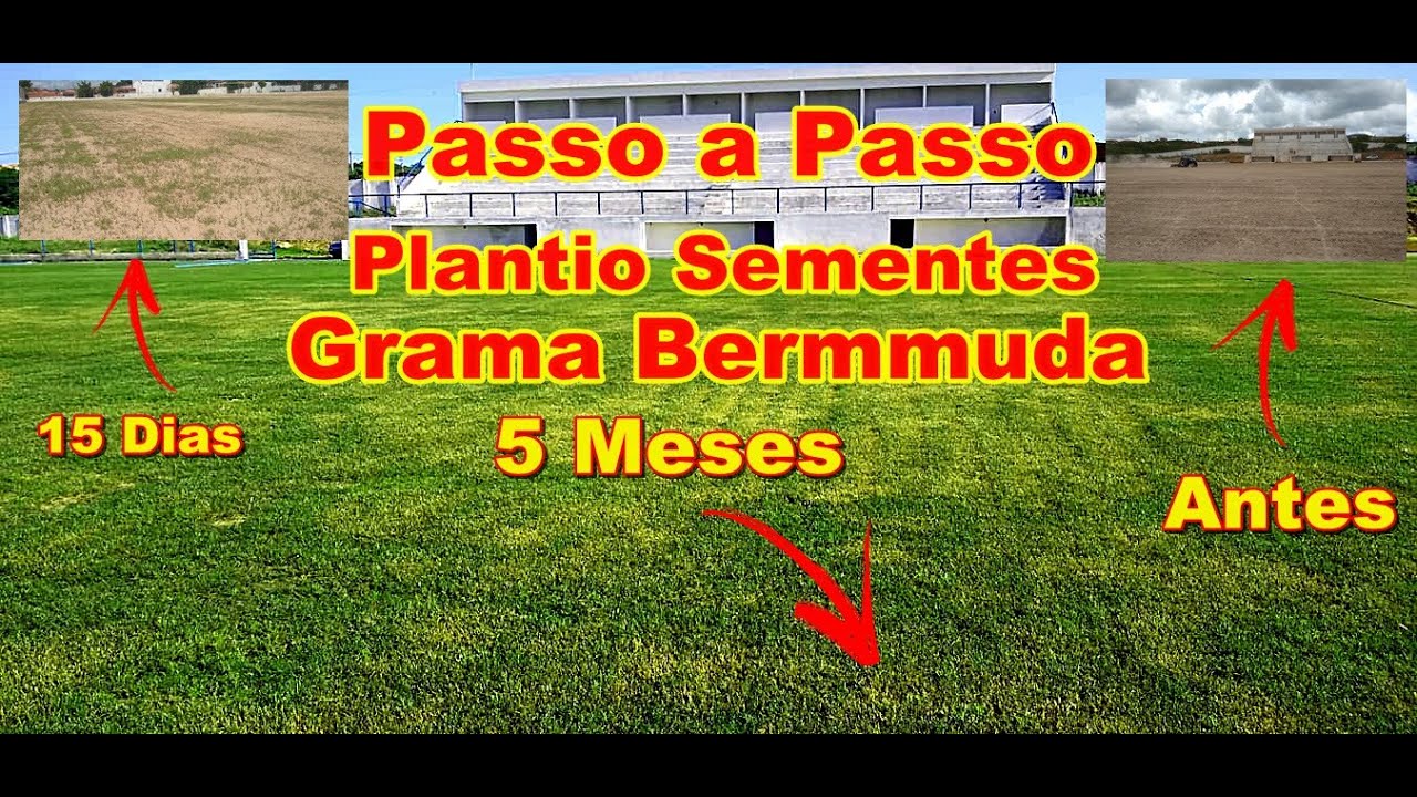 Passo a Passo do plantio das sementes das grama bermuda no Estádio Municipal de Itatira Ceará.