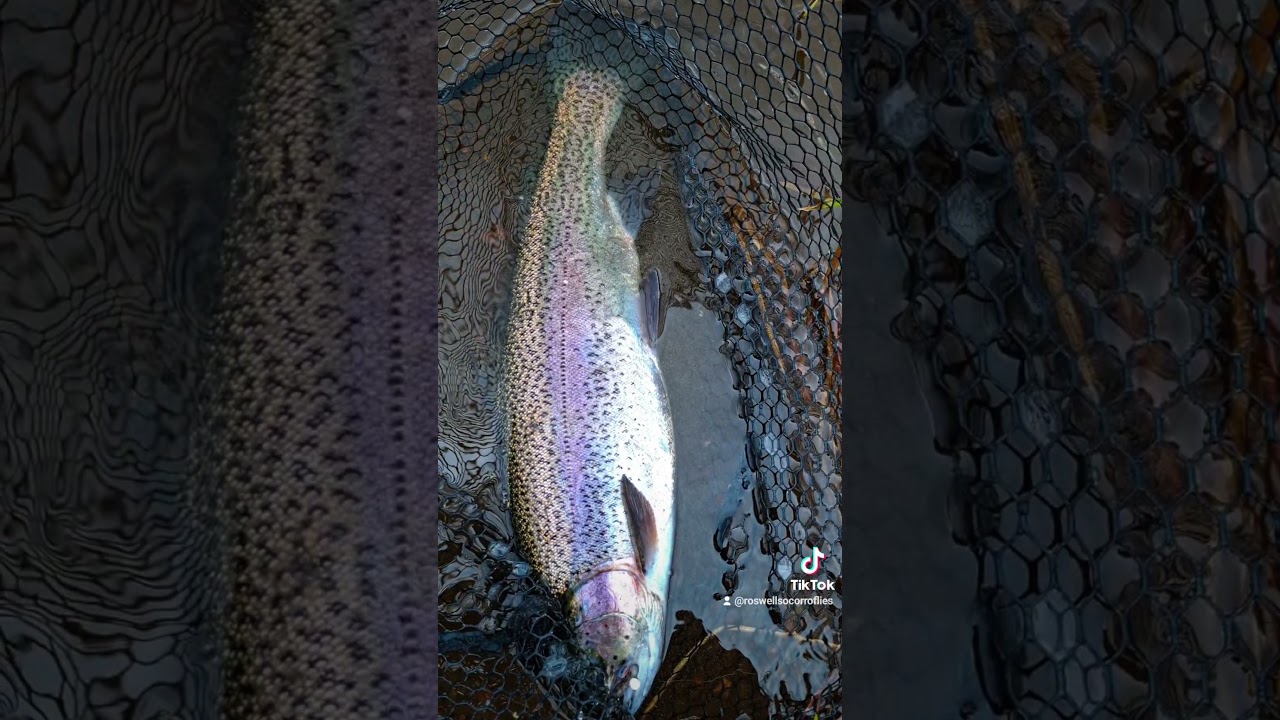 fly fishing. #flytying #flytyingnation #dryflytying