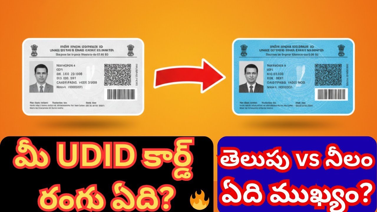 UDID Card White vs Blue Difference | మీ దగ్గర ఏ రంగు కార్డు ఉంది? | UDID Benefits Telugu#disability