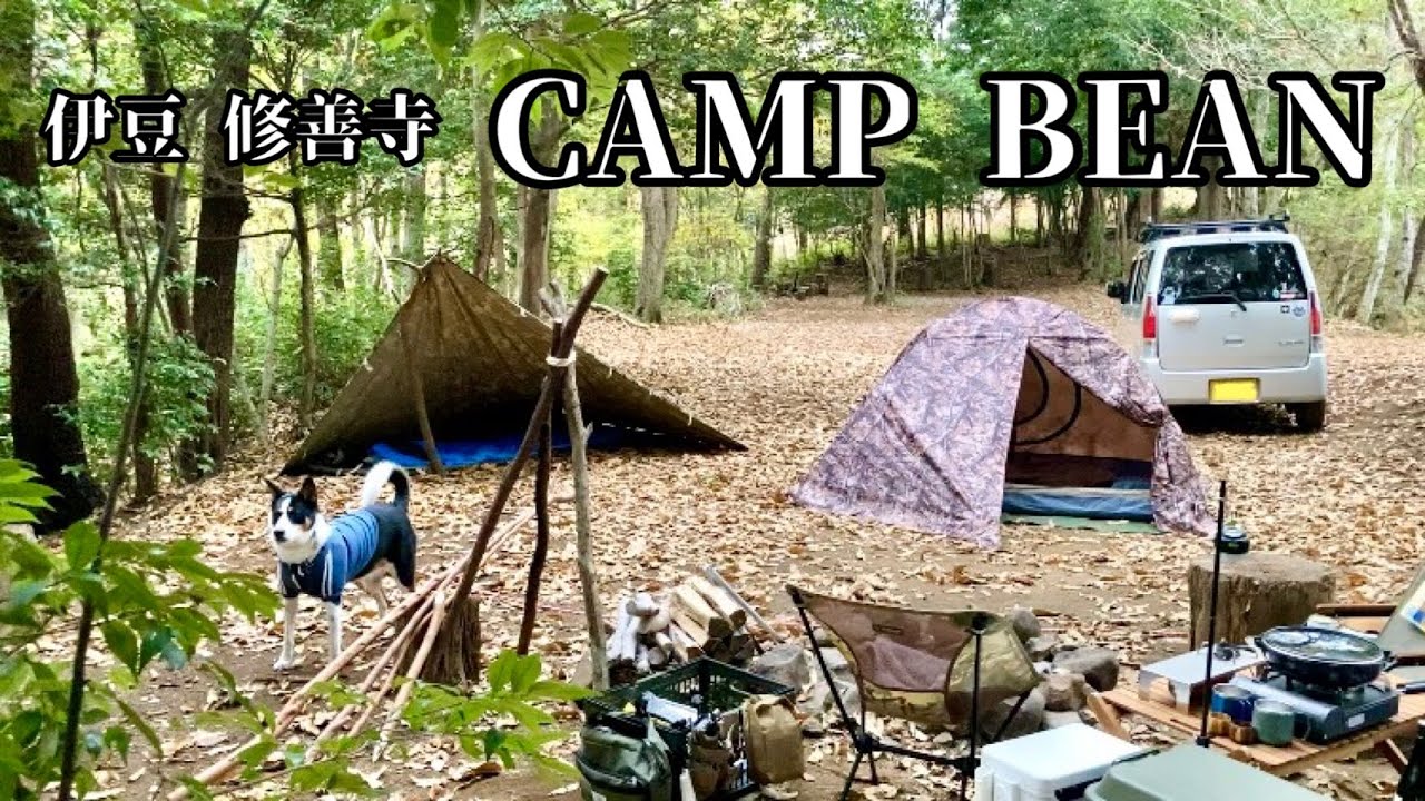 【伊豆 修善寺】キャンプ中級者犬、玄人キャンパーの聖地でキャンプ【CAMP BEAN】