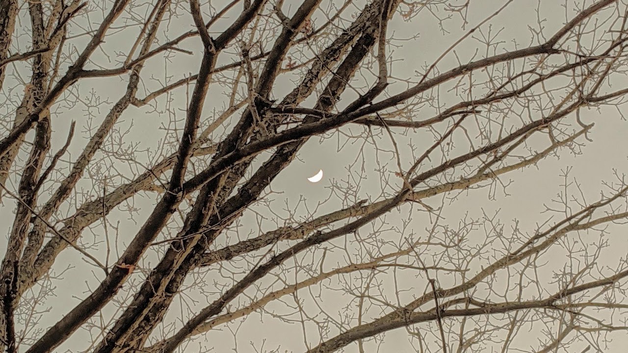 Jules Levy&mdash;The Stars You See