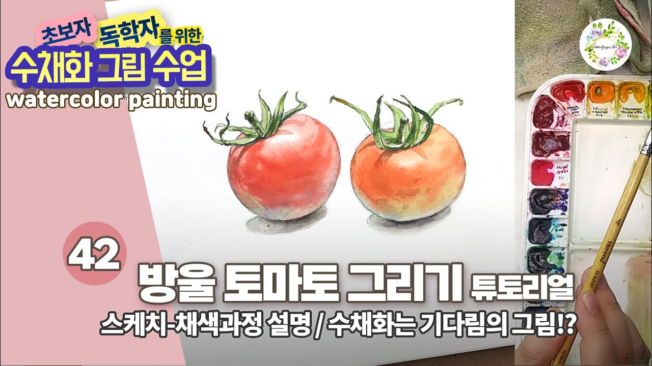 수채화 방울토마토 그리기 튜토리얼 - 스케치이론 채색과정 설명_ 초보자 독학자를 위한 수채화 그림수업 42강- watercolor painting 물고기아트