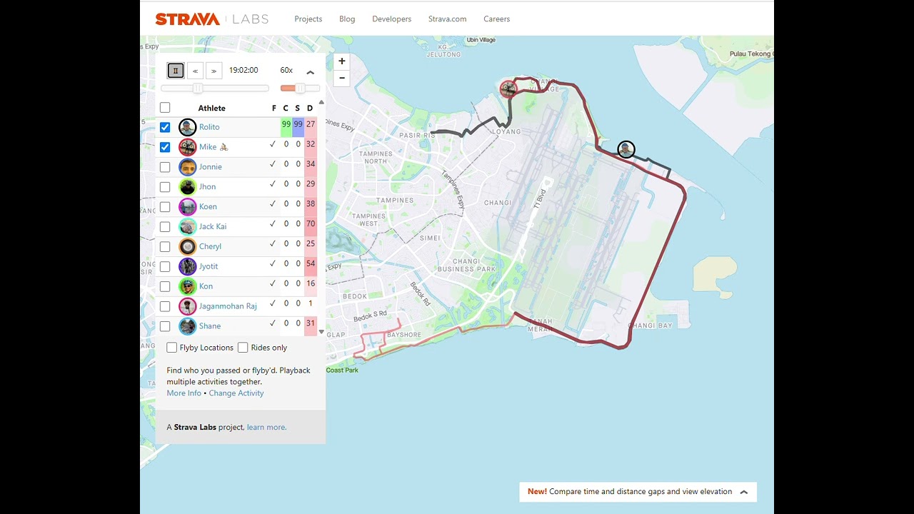 Strava Flyby with Toleds