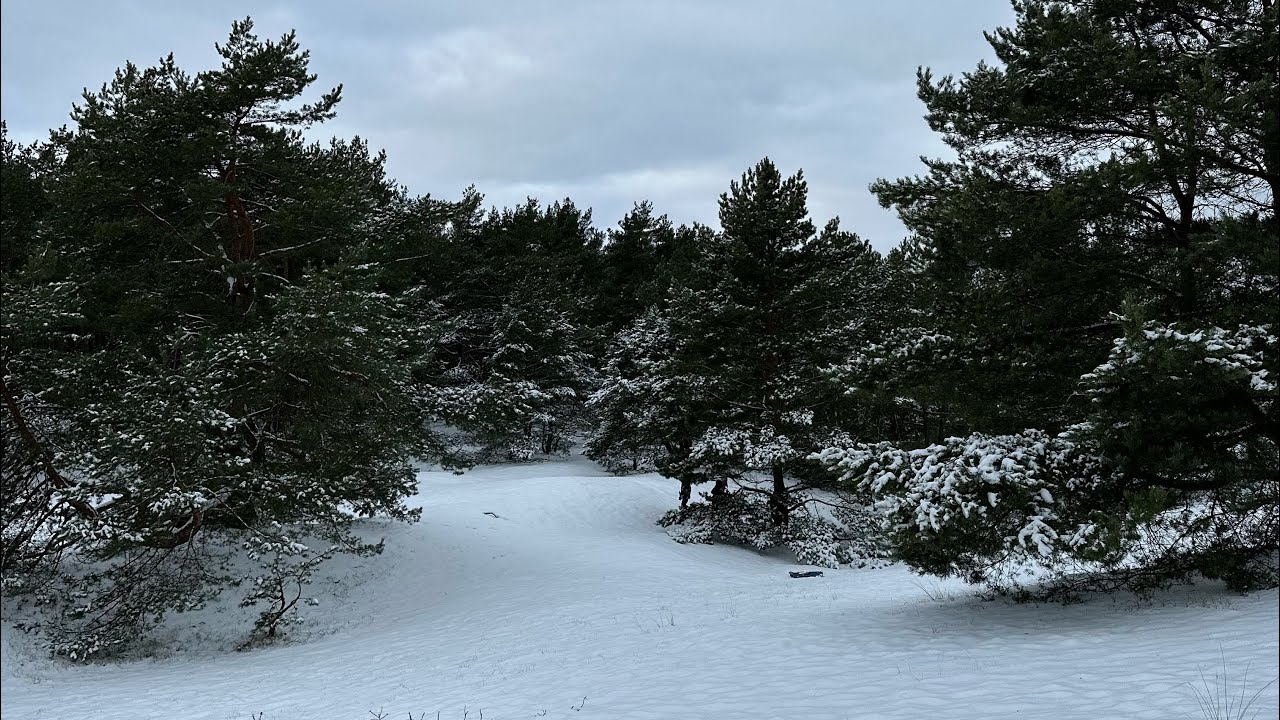 15 февраля. Уютное воскресенье. Жизнь вне дома. Минимум трат, максимум жизни. 