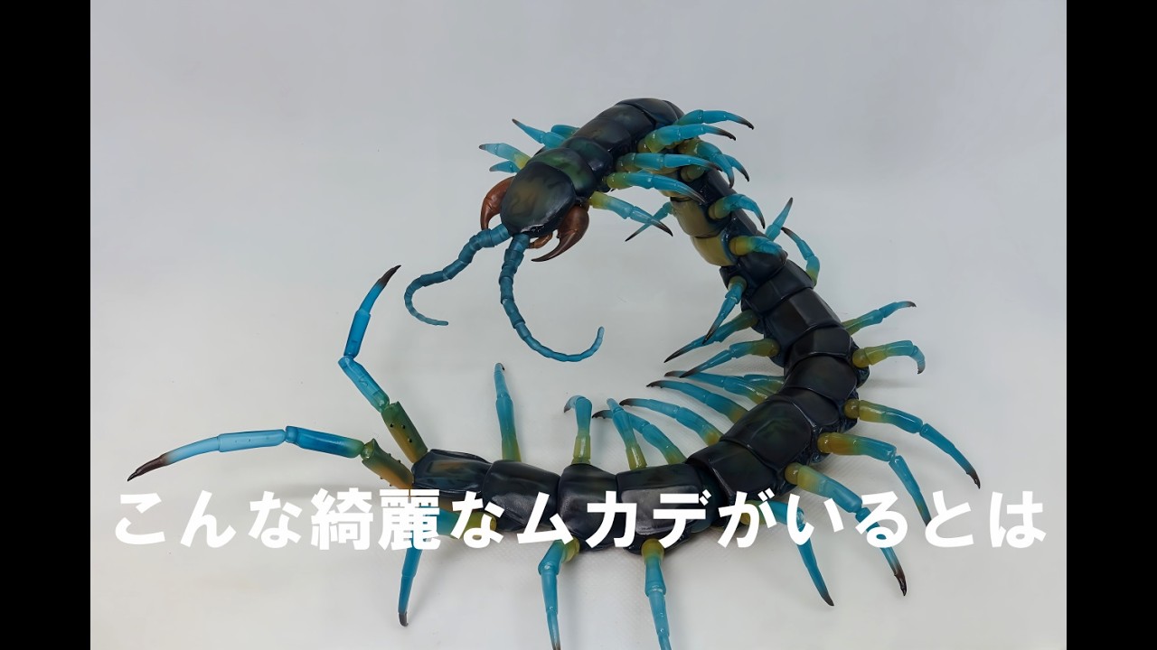 【ガチャ】こんな綺麗なムカデいるとは知りませんでした。