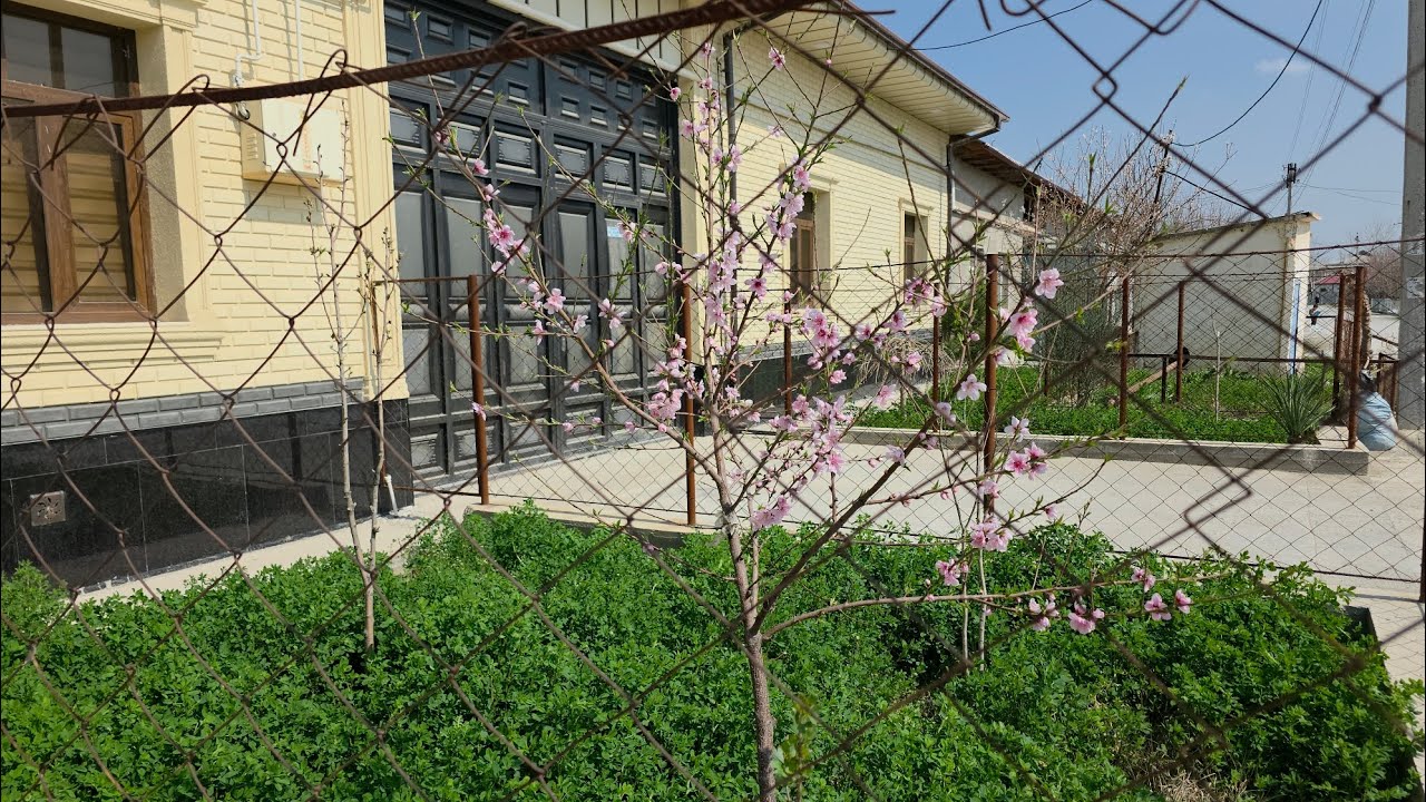 ХАЙИТНИ НИШОНЛАБ ОНАМНИКИДАН БИР УЗИИИИМ КАЙТДИМ👩‍🌾👩‍🌾🌹🌹💐💐