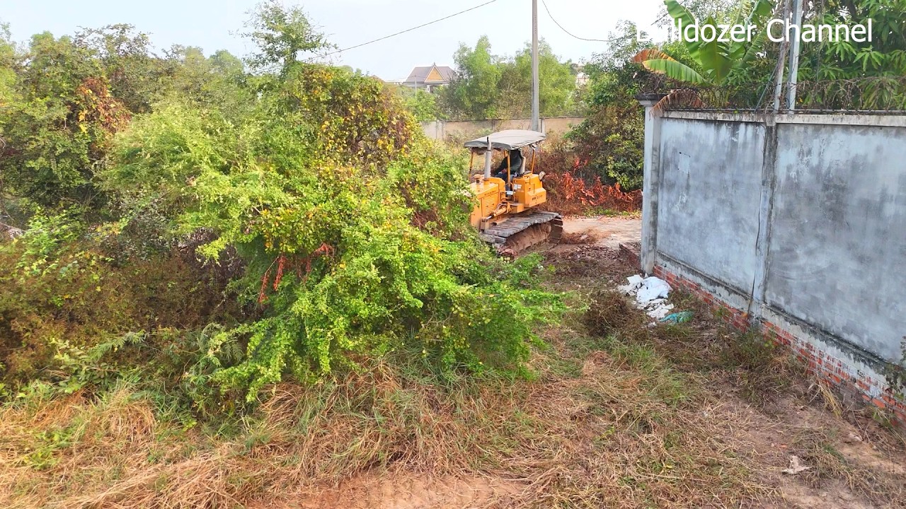 Wonderful clearing forest for build factory by Amazing Dozer Komatsu D31P Push the forest Well
